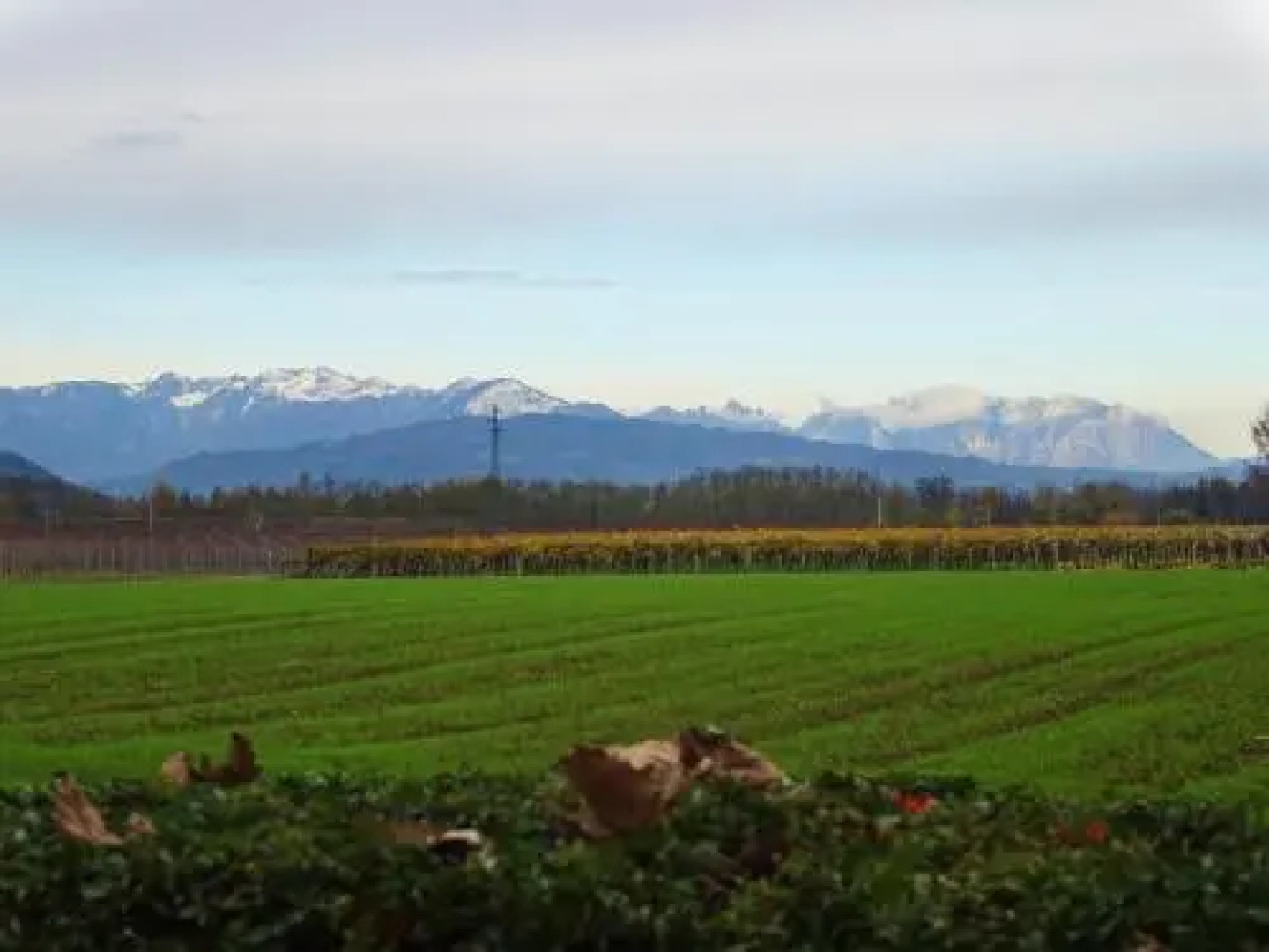 Agriturismo Paradiso