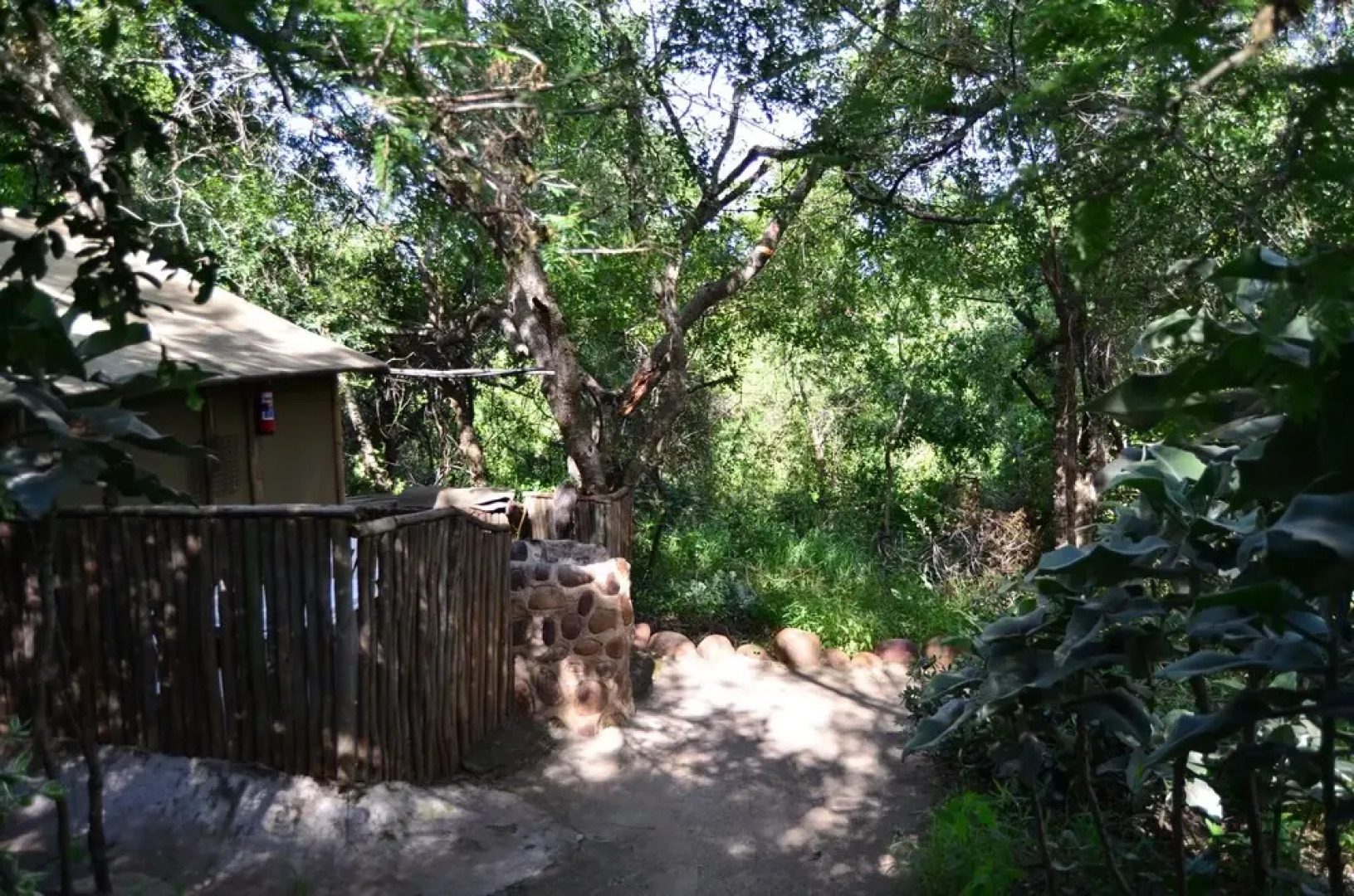 Pure Wilderness in Amanzimlotzi Riverside Bush Tent in Limpopo, Kruger Park