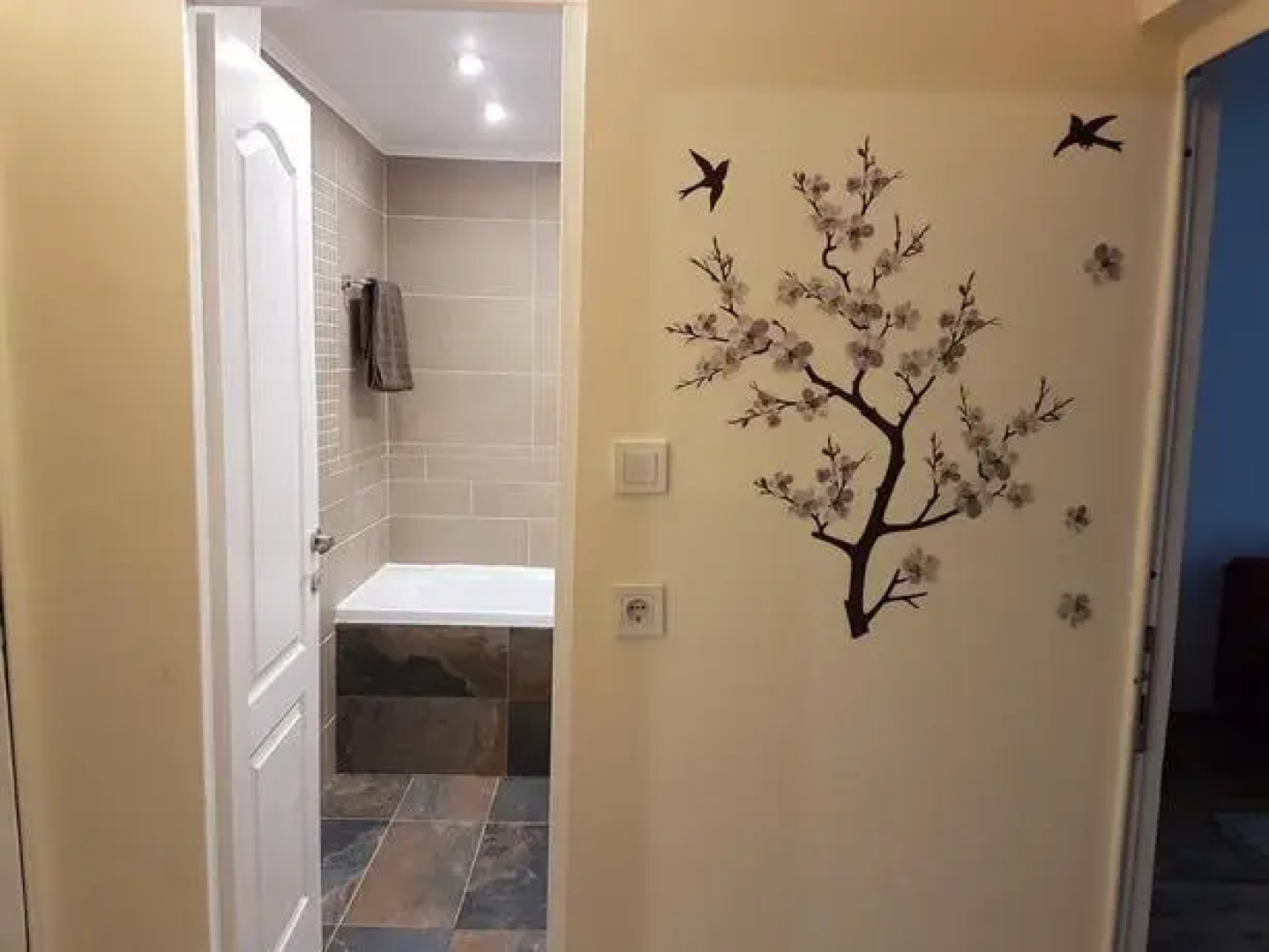 Cluj Lux Apartment Plopilor