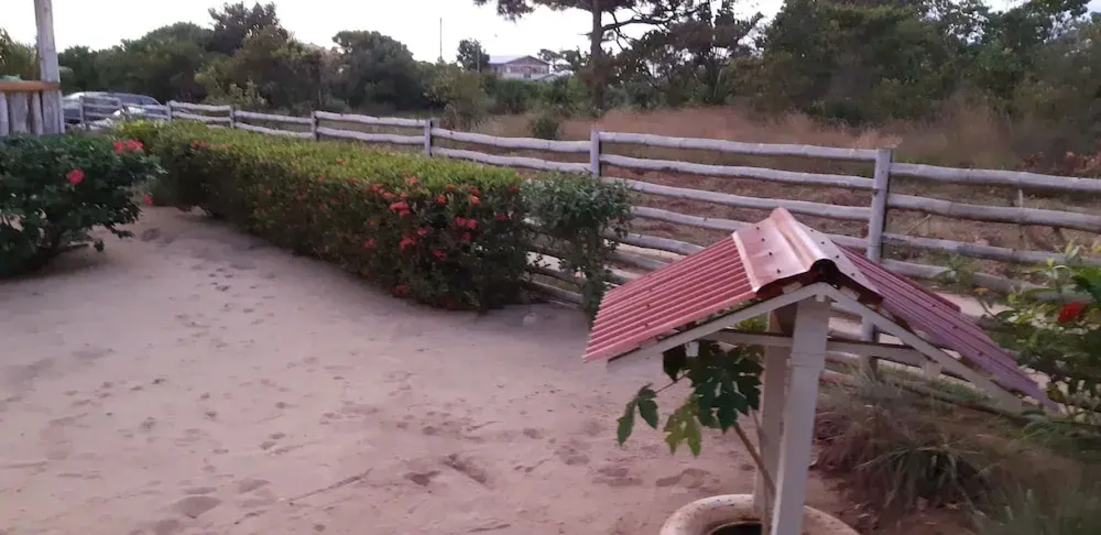 Palma d'Oro Oasis