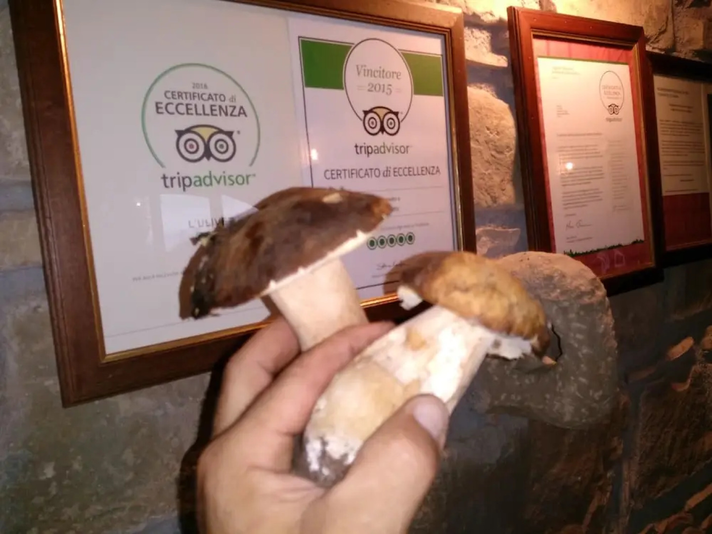 Apartment With one Bedroom in Reitano, With Wonderful sea View, Shared Pool, Furnished Terrace - Near the Beach