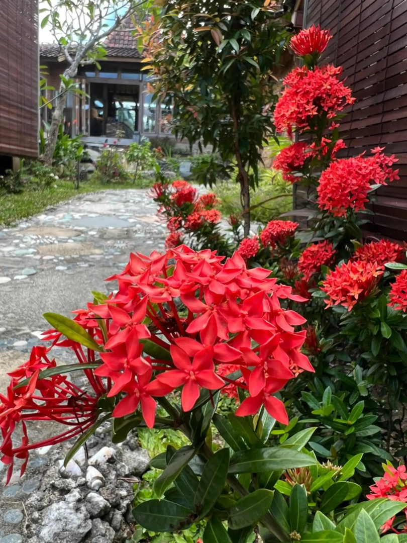 PINOKKIO B&B Restaurant