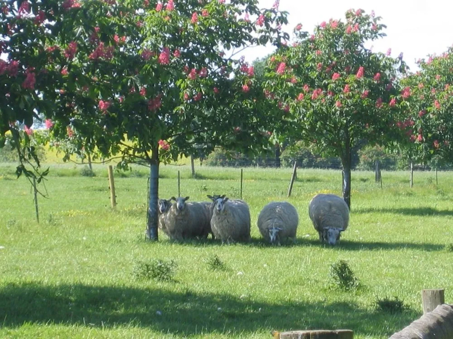 The Greenway at Knaptoft House Farm