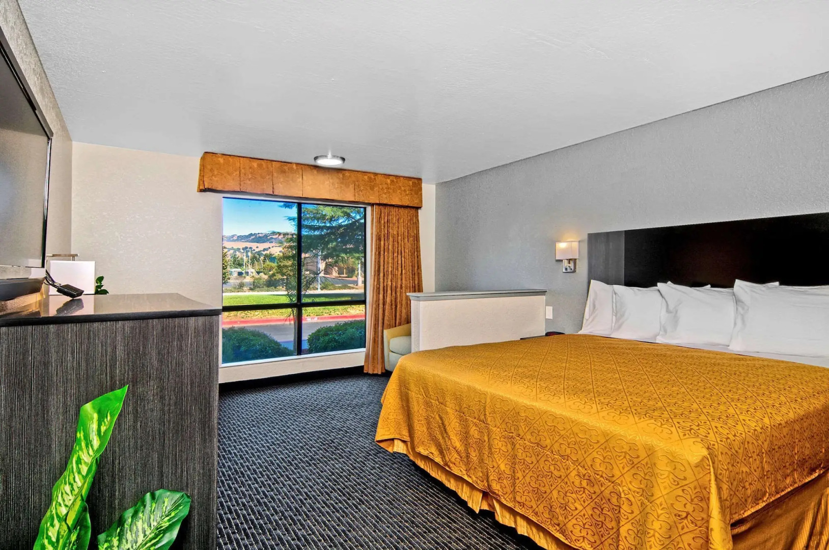 Quality Inn & Suites South San Jose / Morgan Hill