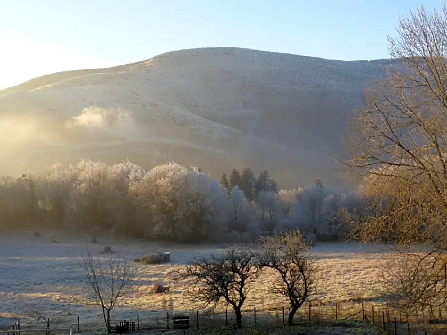 B&B Bouton D'Or La Bouriotte