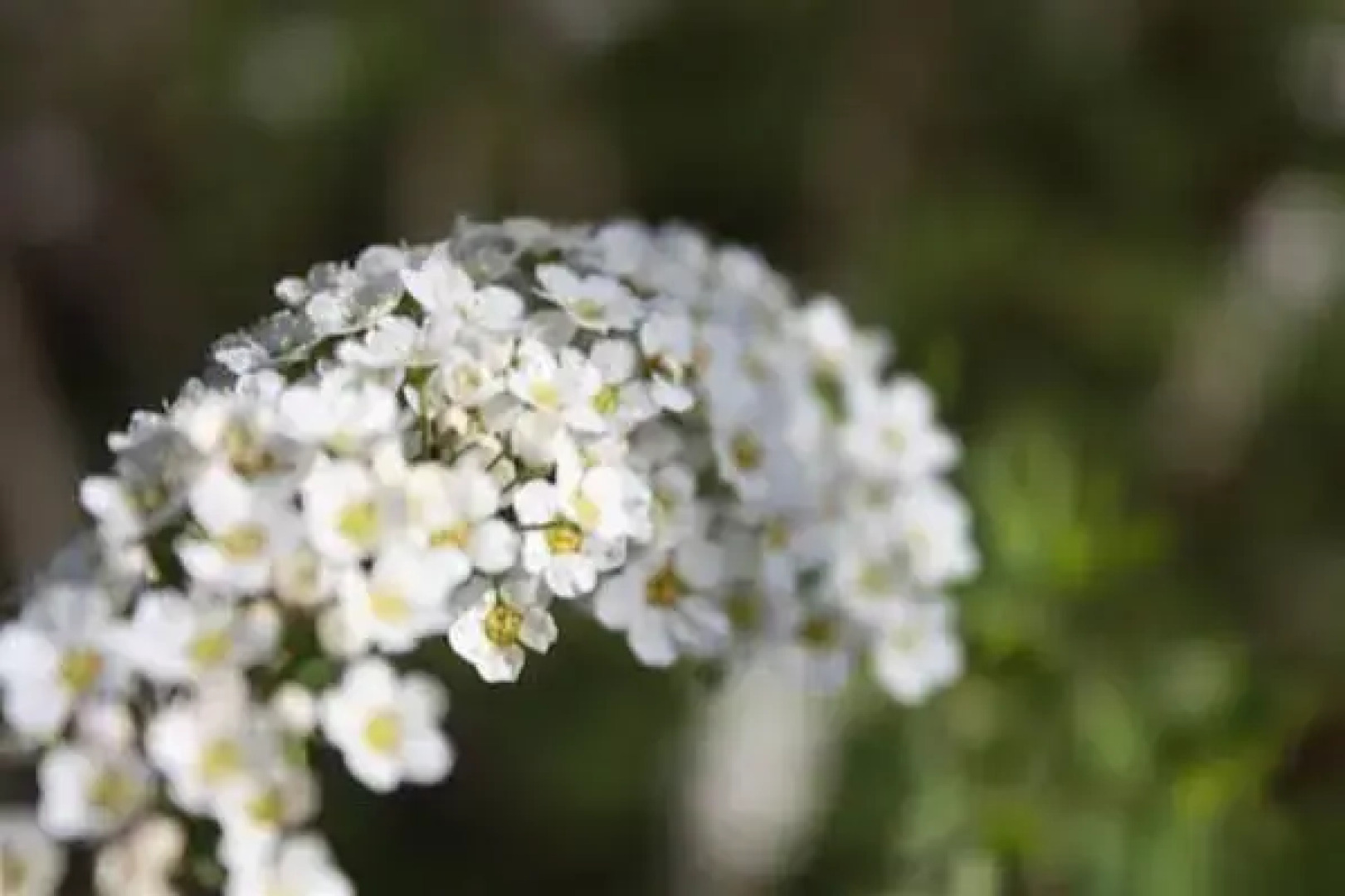 Posada Fuenteplateada