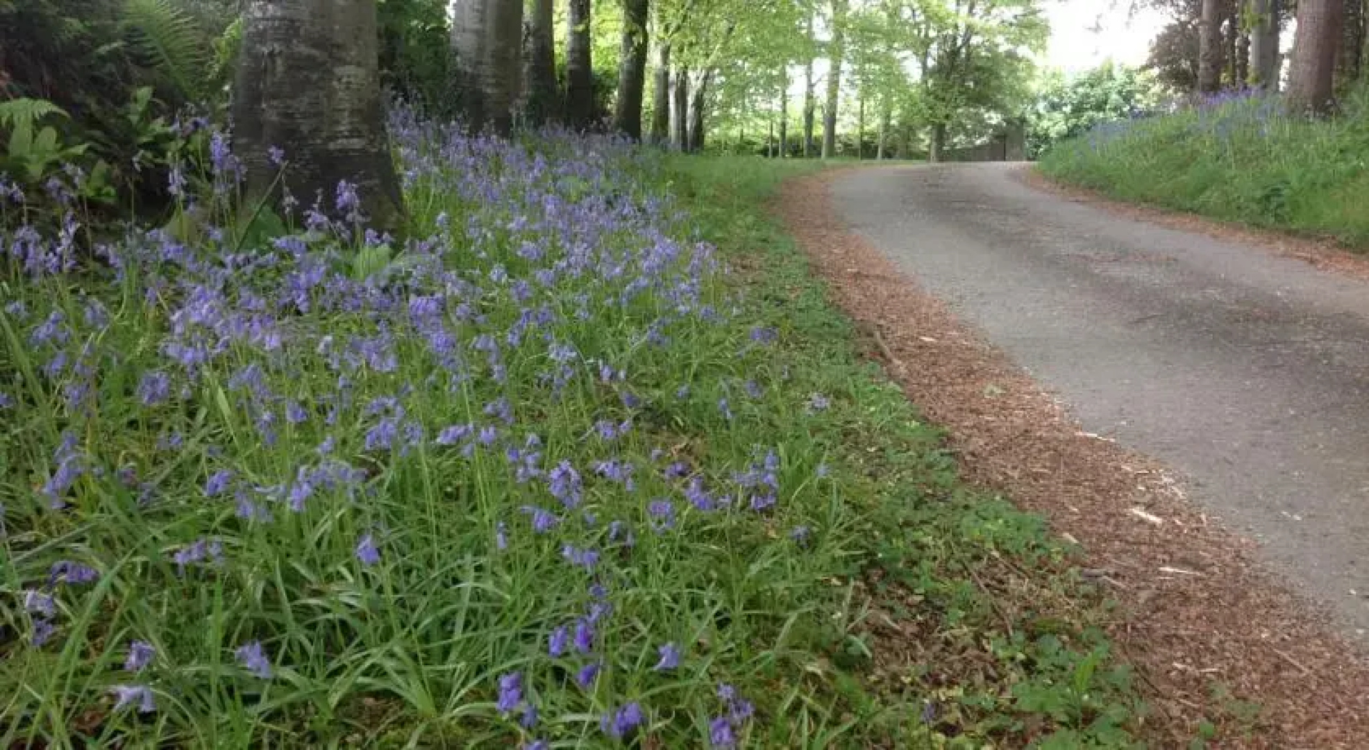 Cadson Manor Self Catering