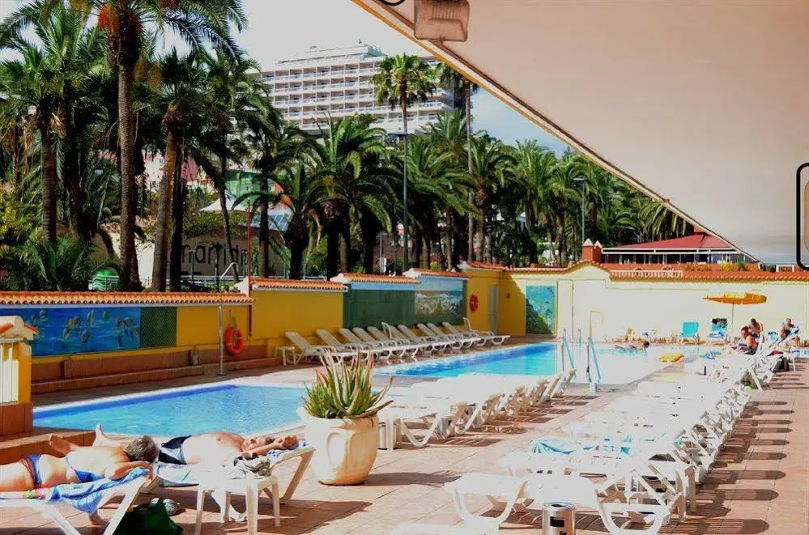 Elegance Palmeras Playa