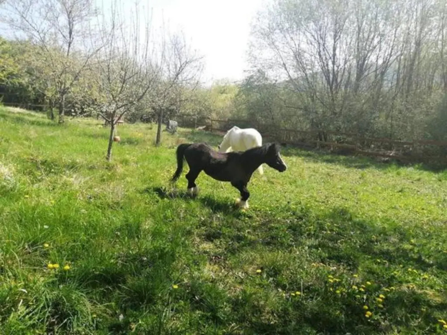 Studio Bar sur Mulhouse Sud