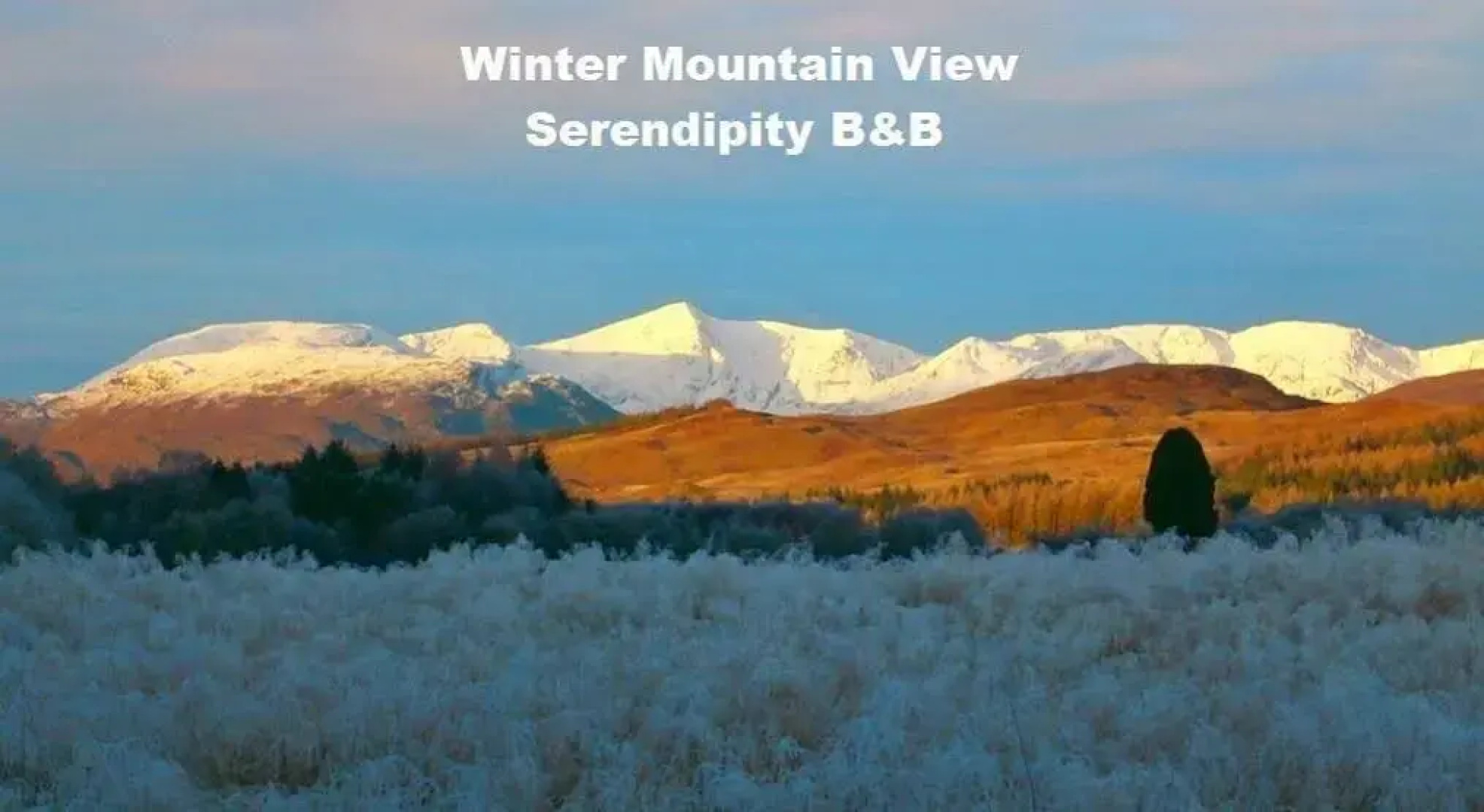 Serendipity Bed And Breakfast