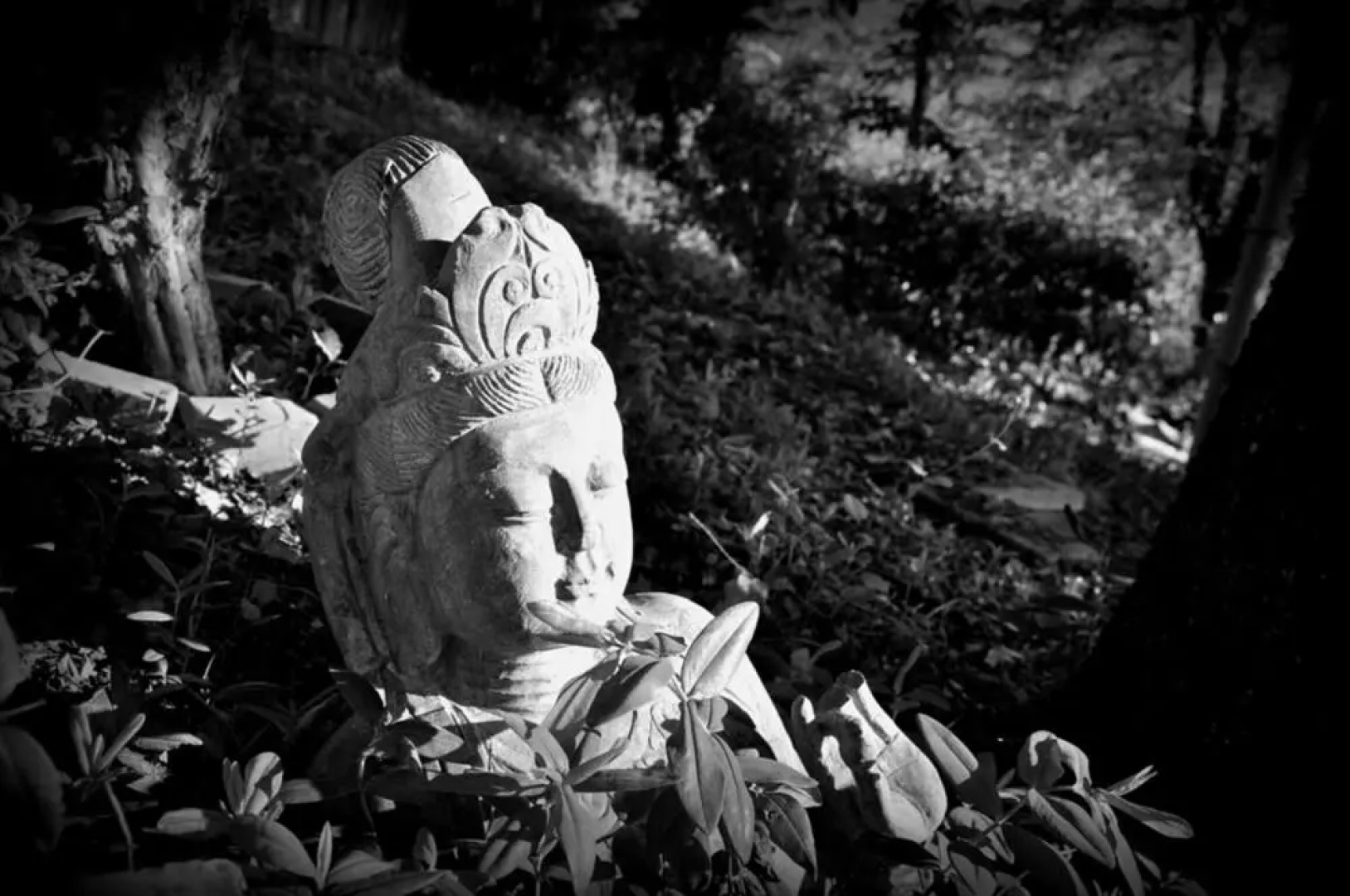 Studio in Castel Colonna, With Pool Access and Enclosed Garden