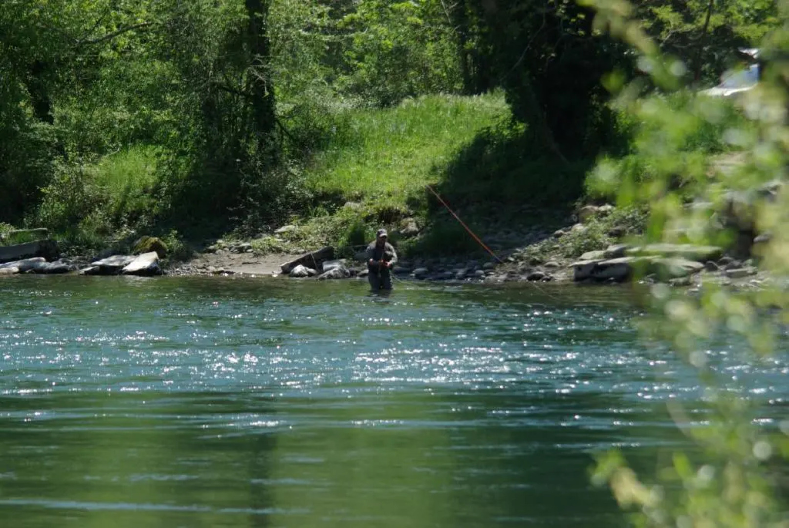 Le gite du Poisson Roy