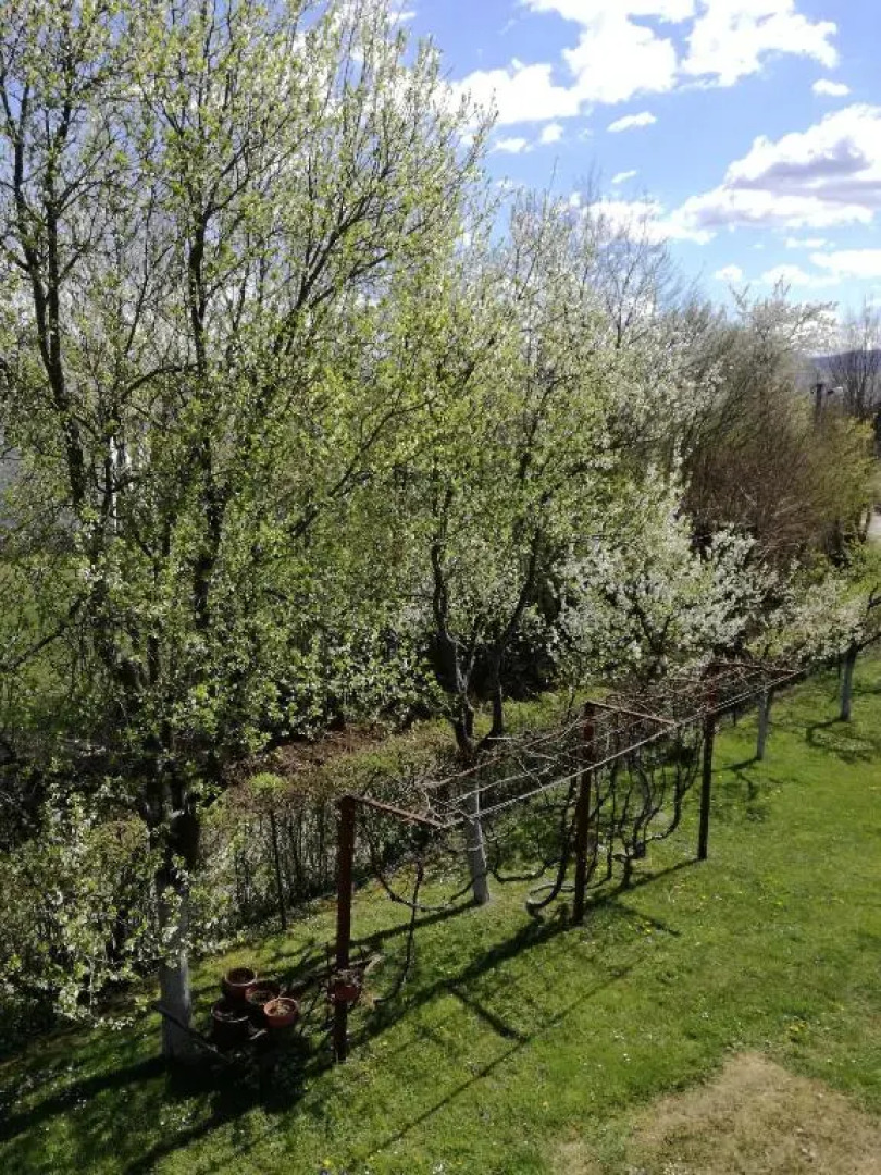 Guesthouse Šebalj