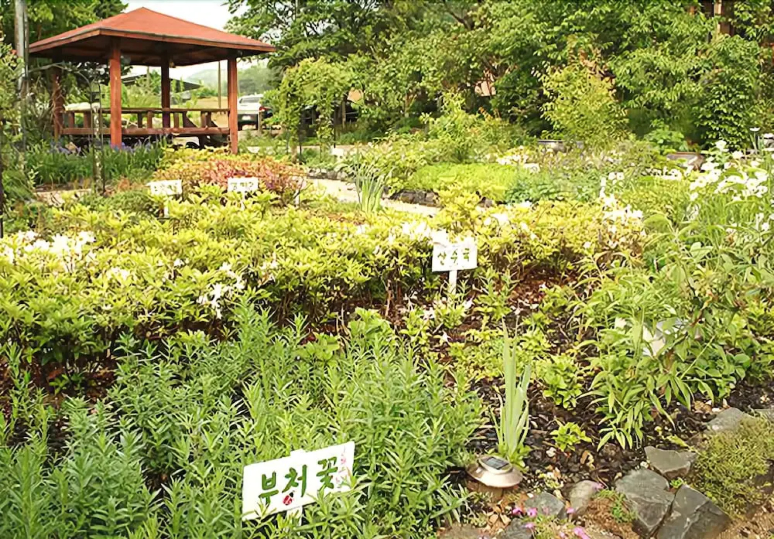 Greentopia pension