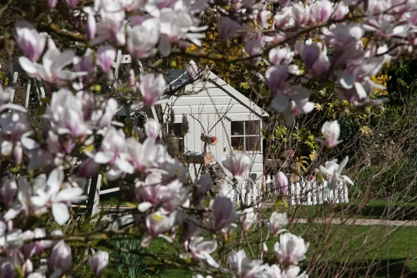 Whispering Cottages Bed and Breakfast
