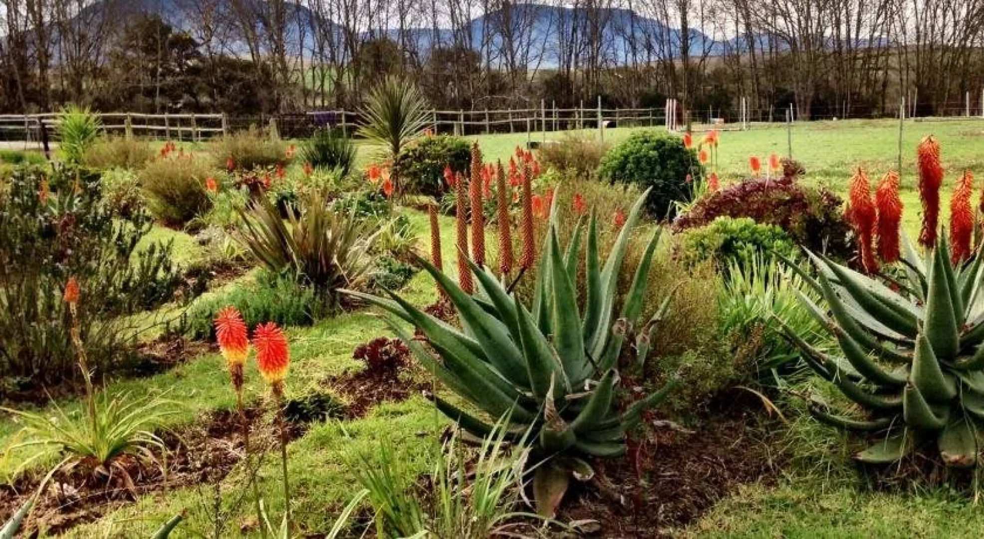 Sleeping Beauty Guesthouse