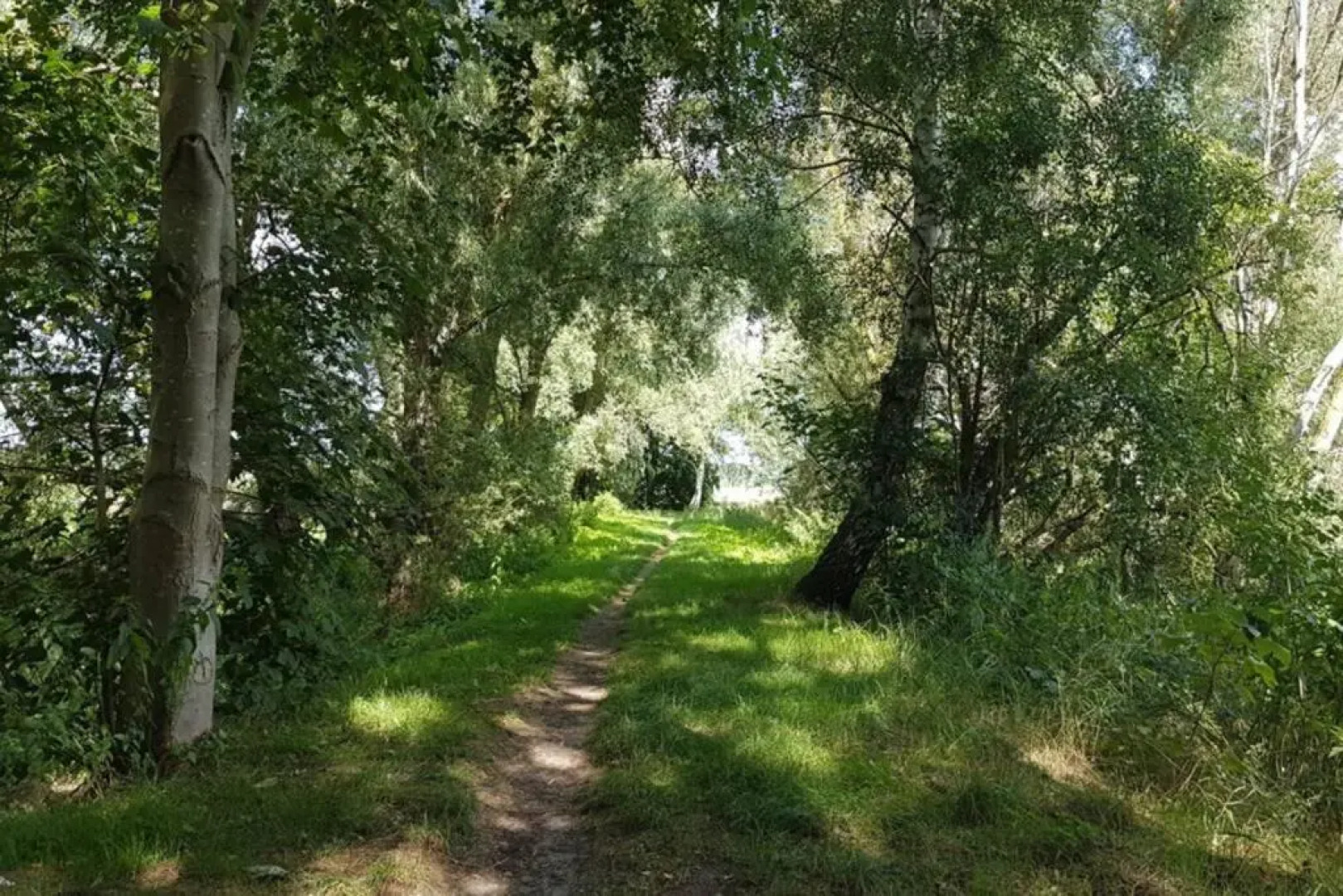 Ferienwohnung Bernsteinsucher städtische Bestlage