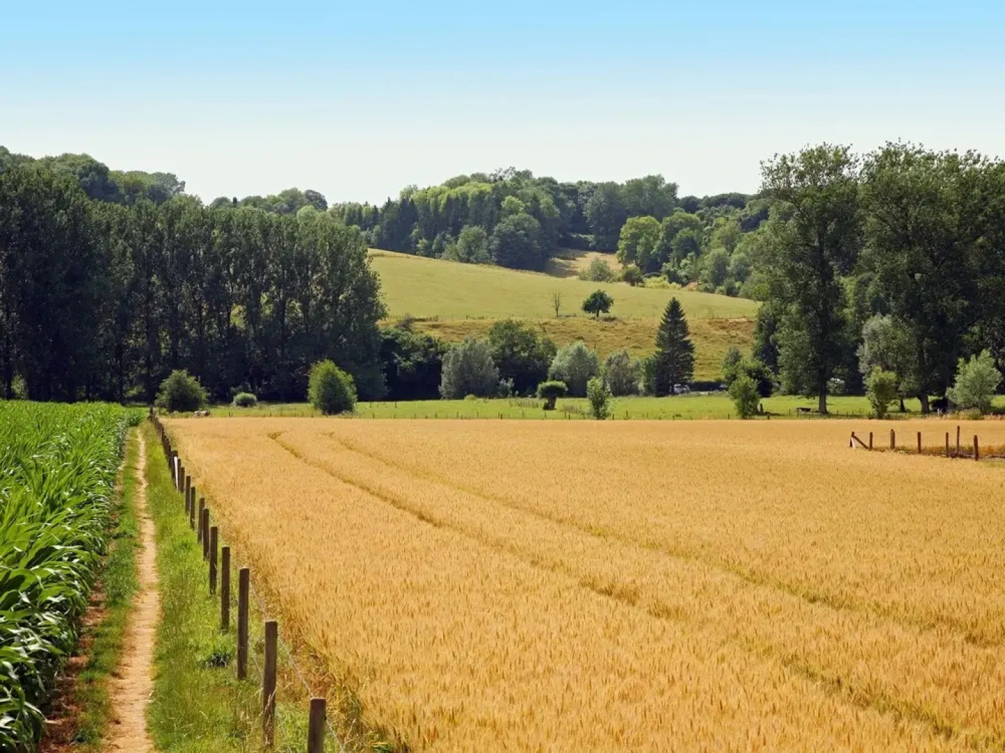 Wijlre Farmhouse Stay