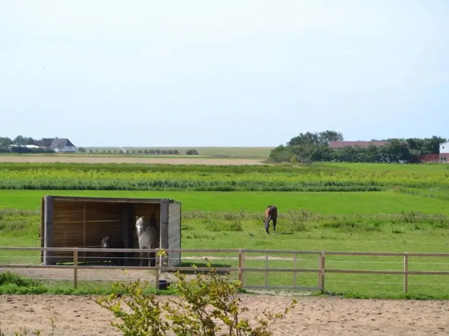 West in Haus Luttmoor
