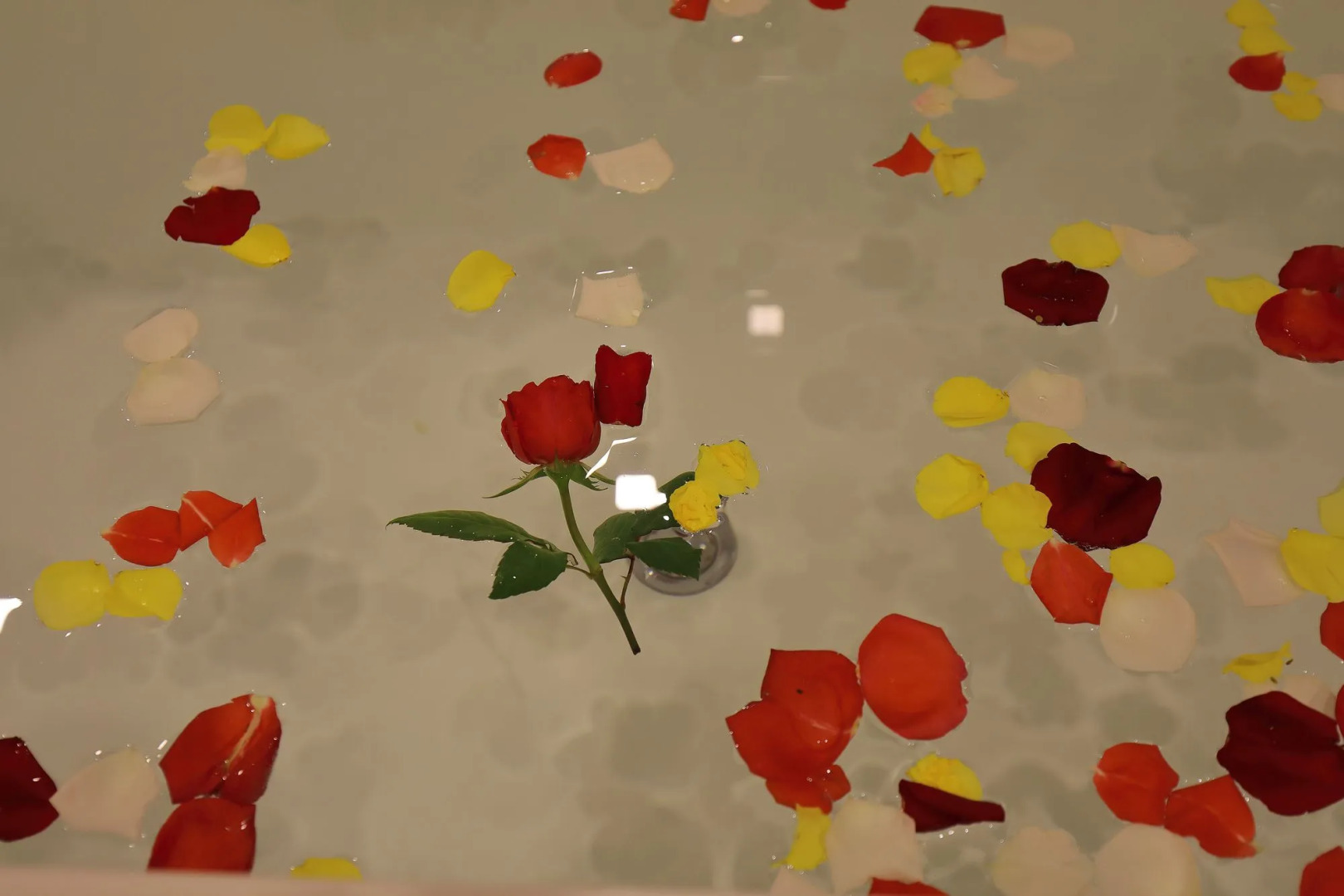 Hoi An Odyssey Hotel