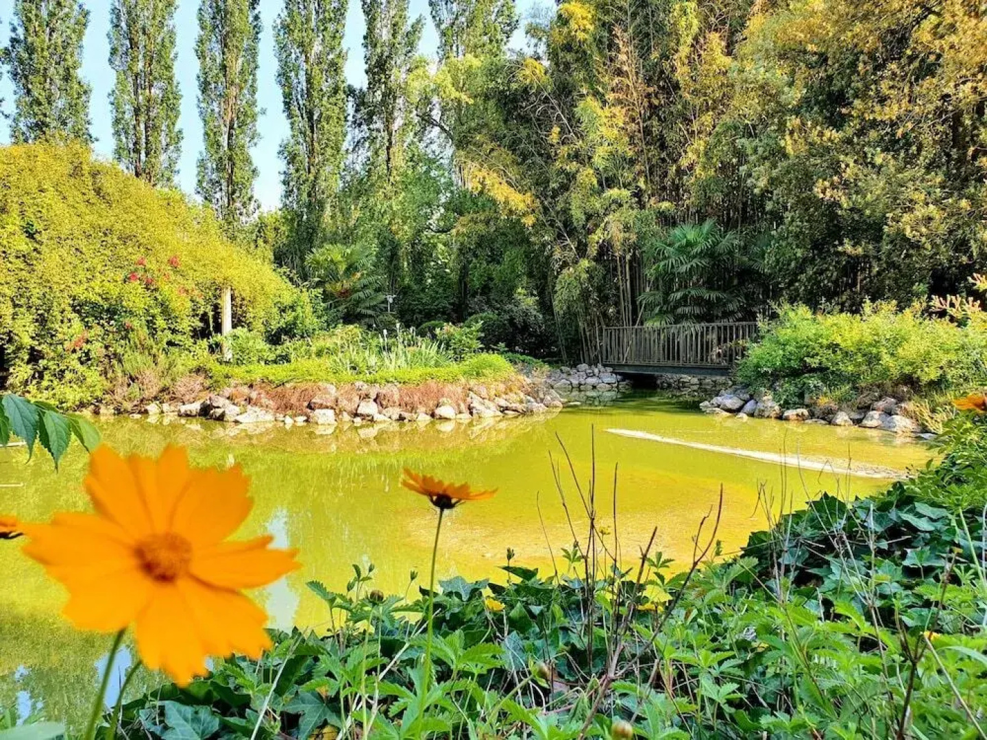 Villa Foscolo  Luxury Rooms & Apartments