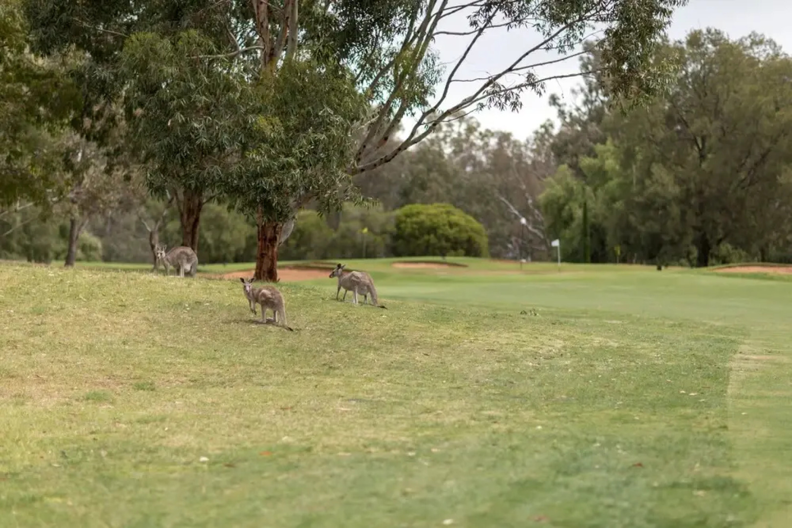 Bridges Villas at Cobram Barooga Golf Club