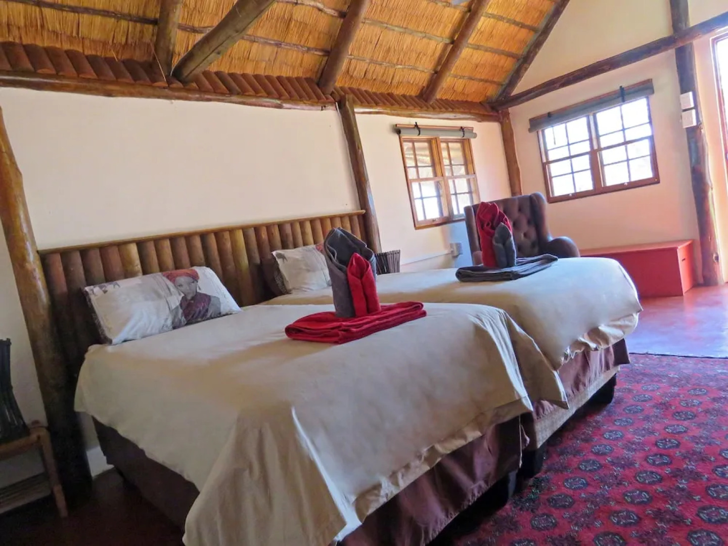 Wild Dogs Safari Lodge