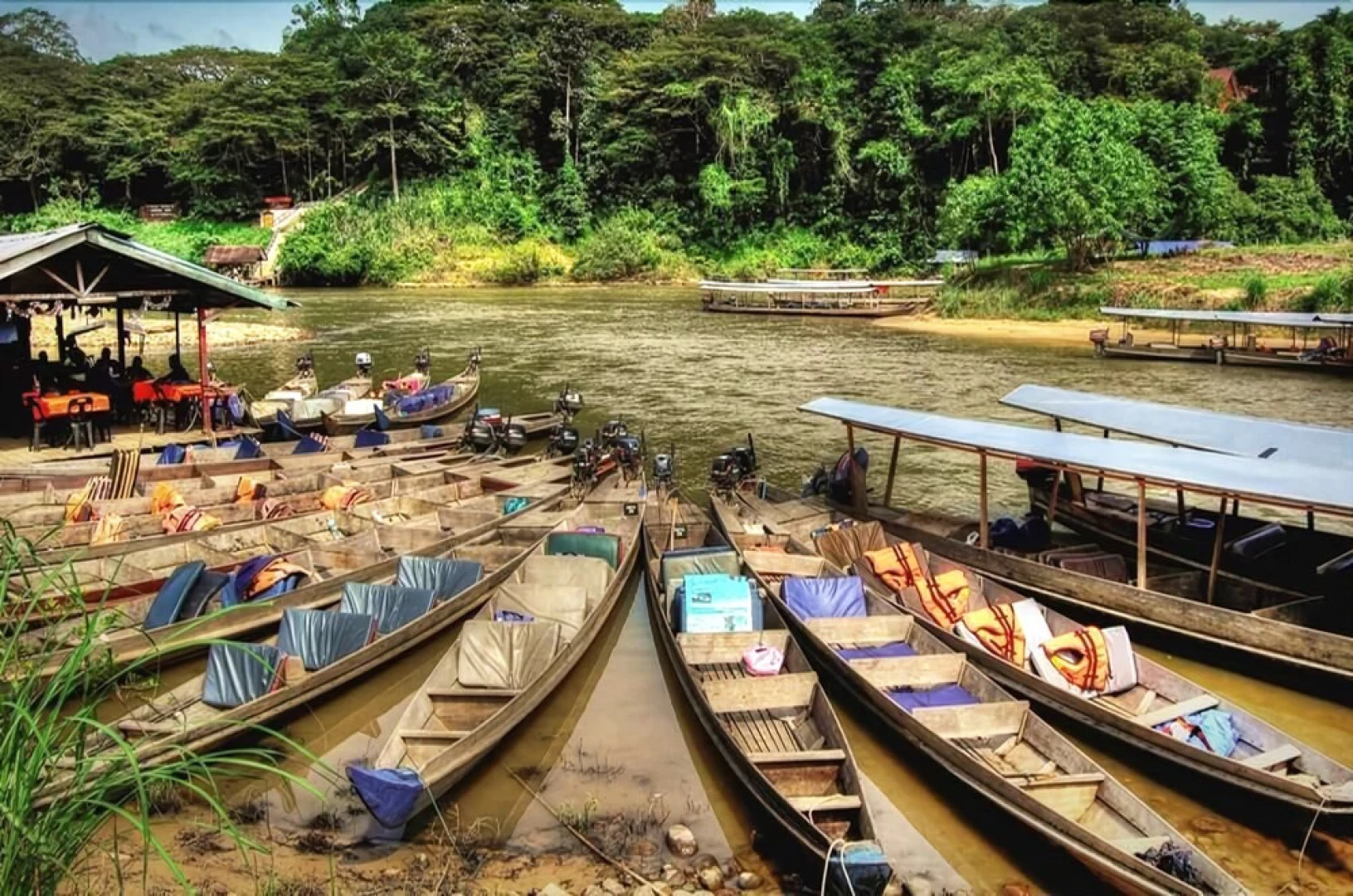 Taman Negara River View Lodge