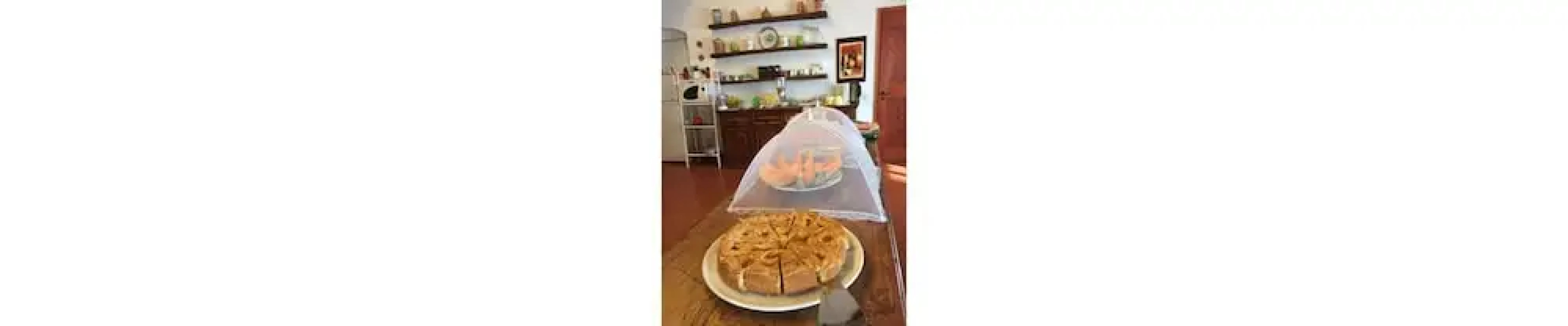 Serendipity House B&B