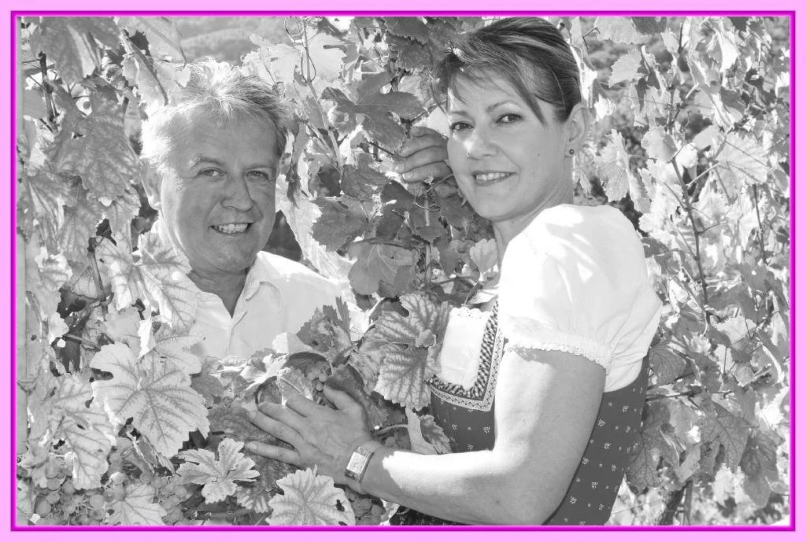 Gästehaus & Heuriger Turm Wachau