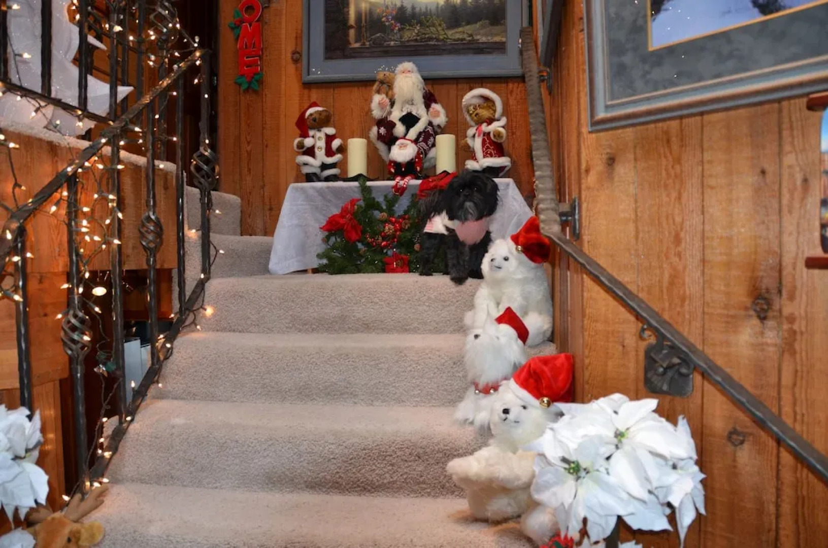 Where Eagles Fly Bed & Breakfast