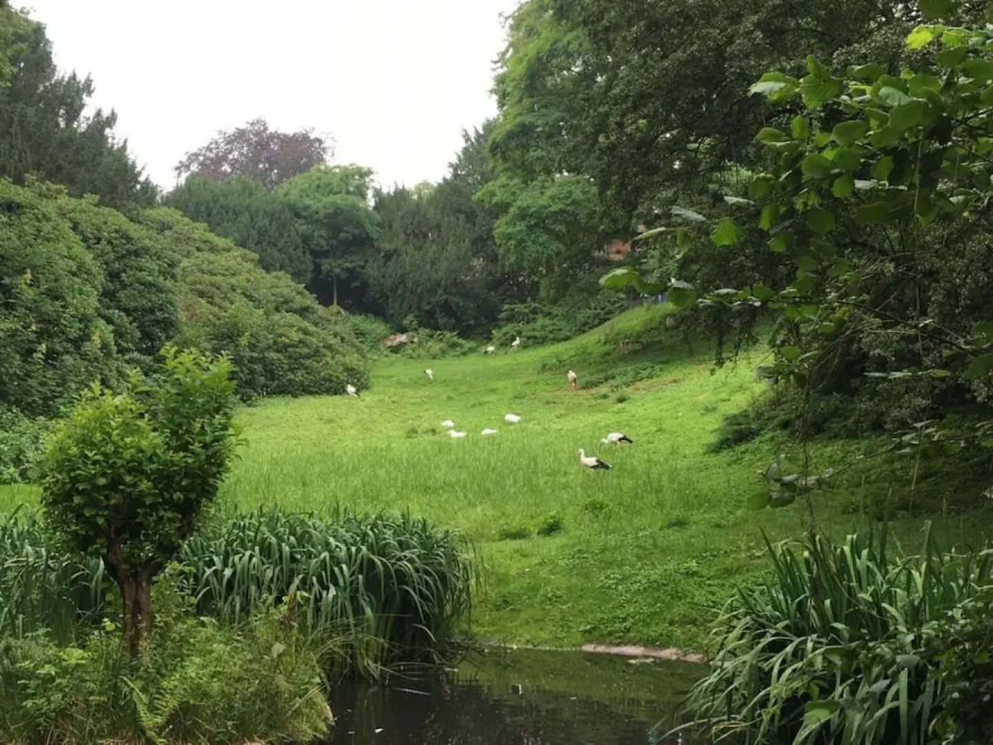 Amazing Apartment in Gorlitz