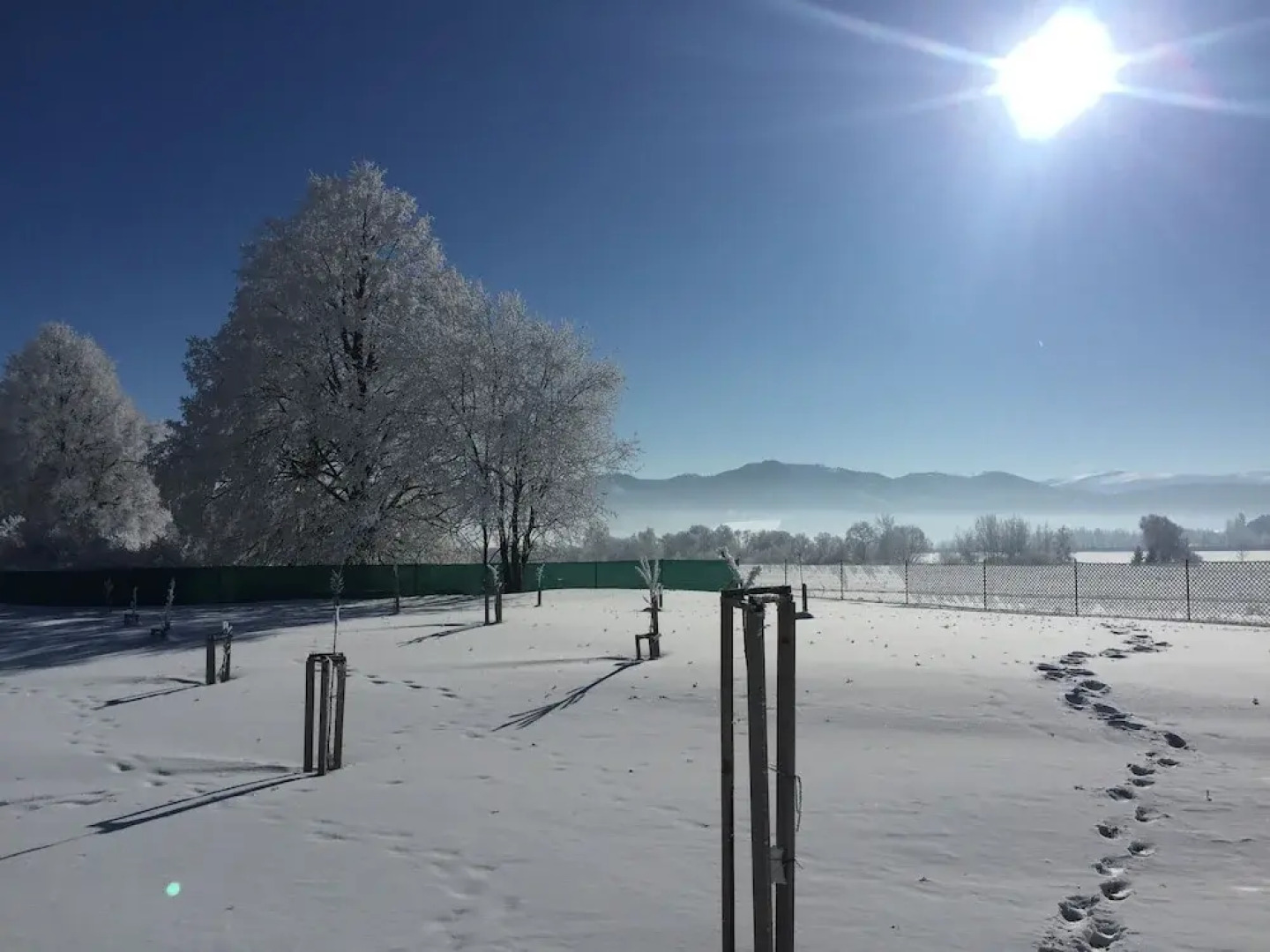 Apartments Ceresnovy Sad
