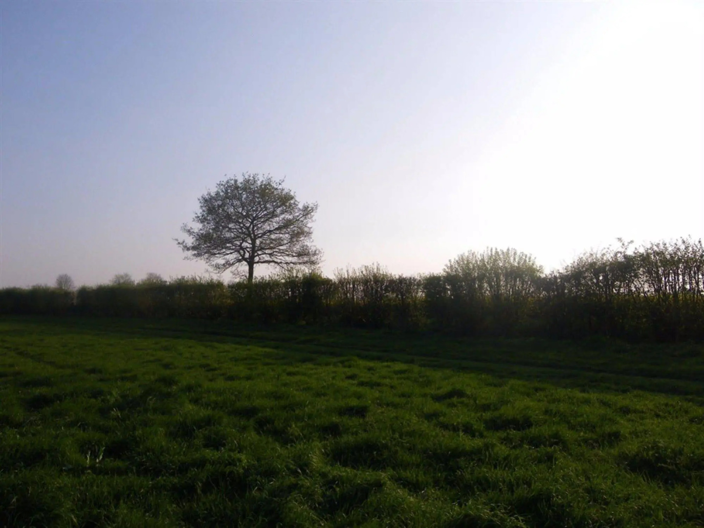 South Norfolk Guest House