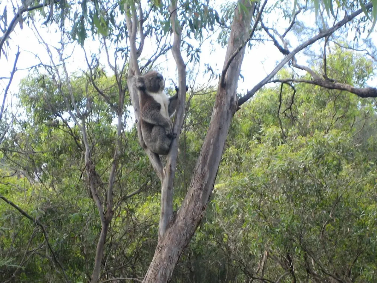 The Gallery Bed and Breakfast