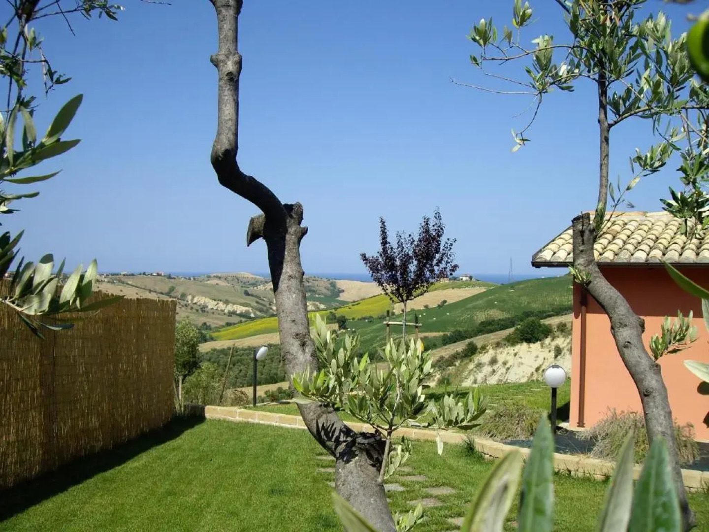 Agriturismo Il Borgo Degli Ulivi