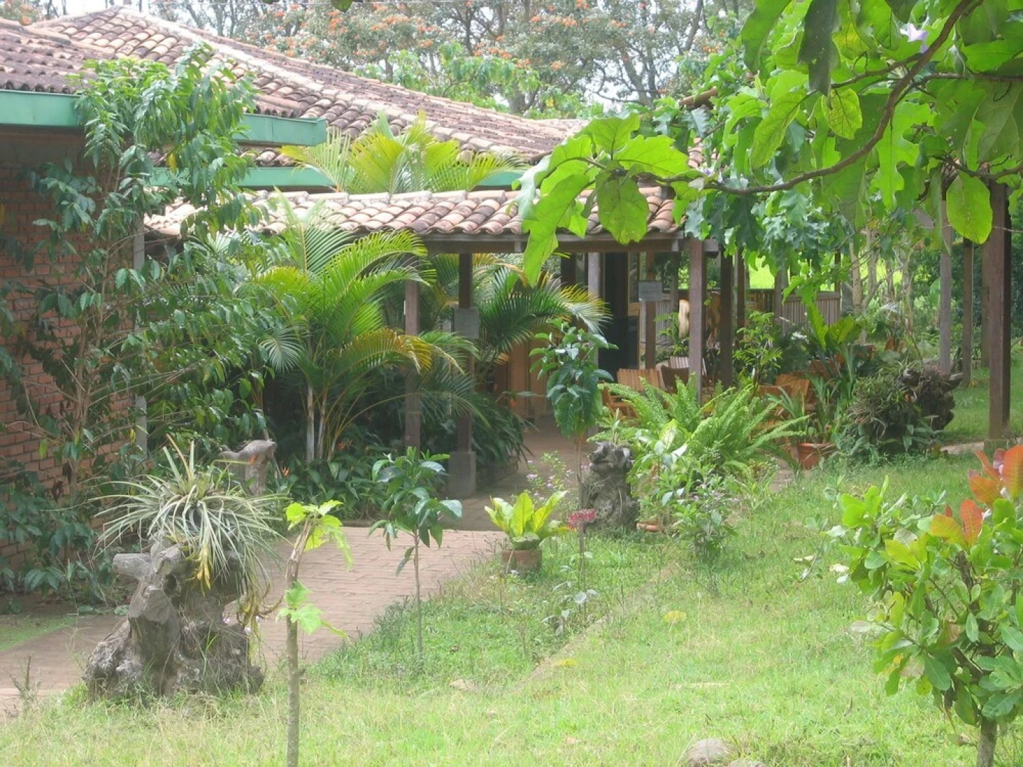 Hotel el Pantano