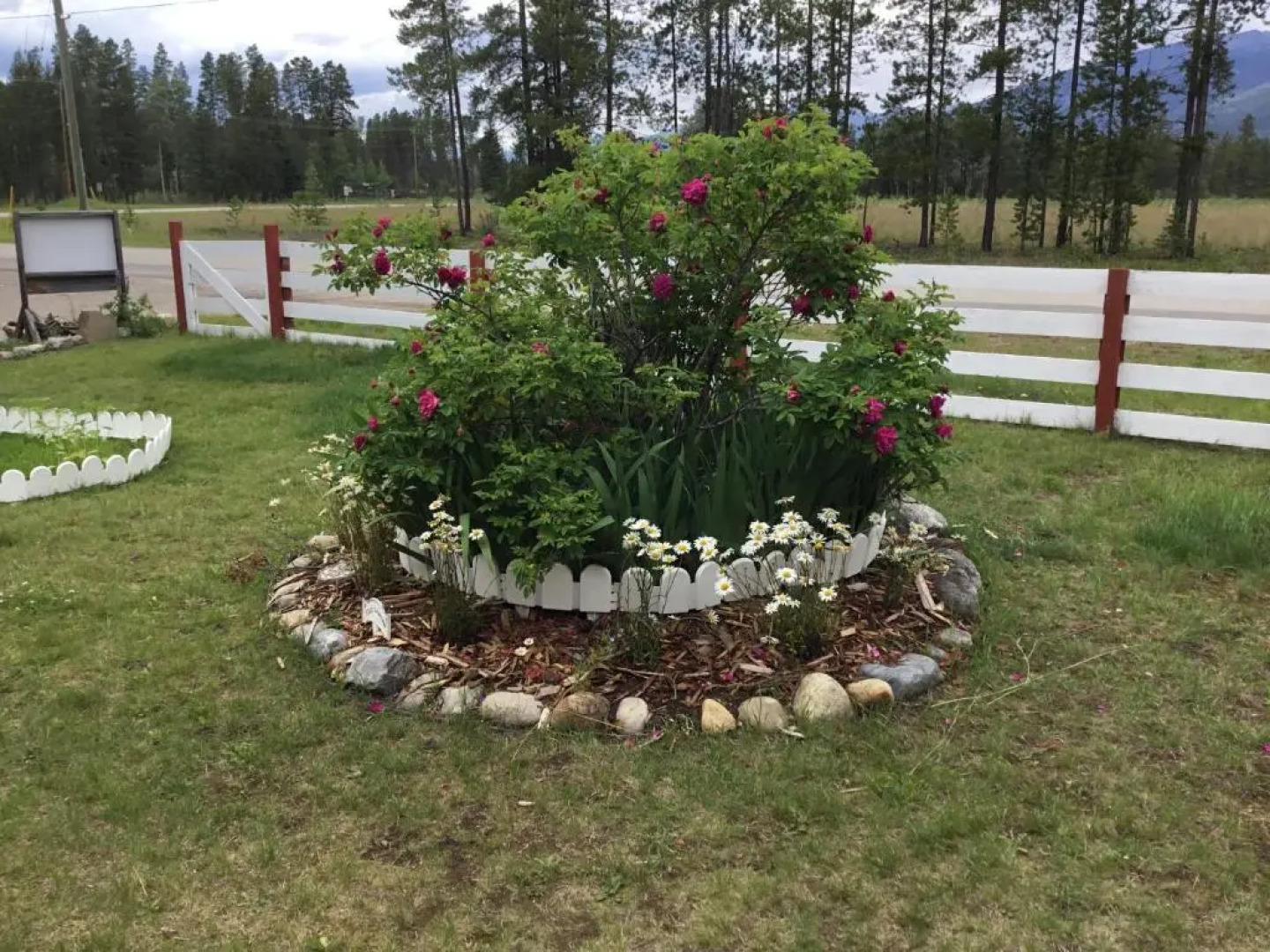 Rose Cottage Bed & Breakfast