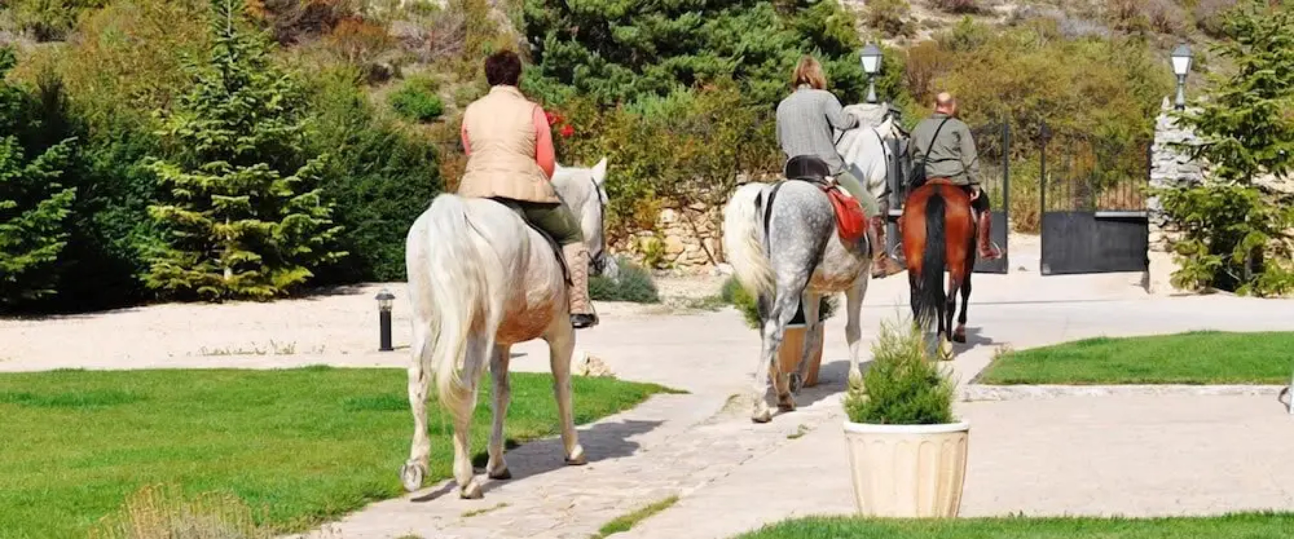 Hotel Rural y SPA La Senda de los Caracoles