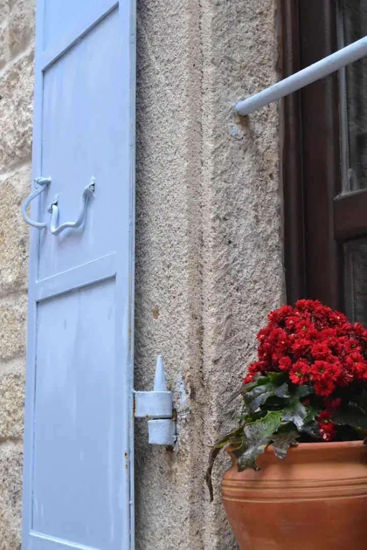 Griffon Boutique Hotel - Boutique Class