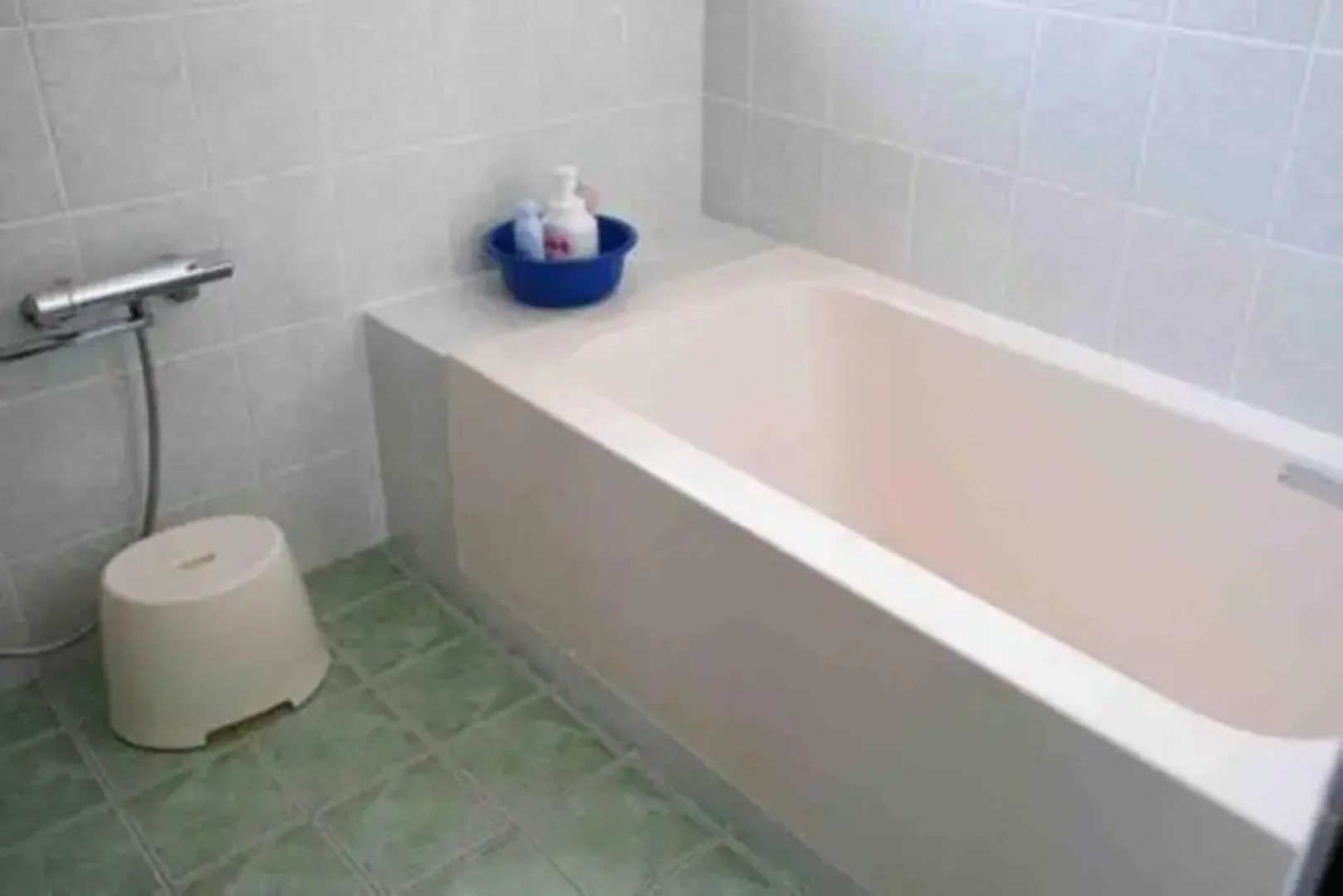 Japanestジャパネスト