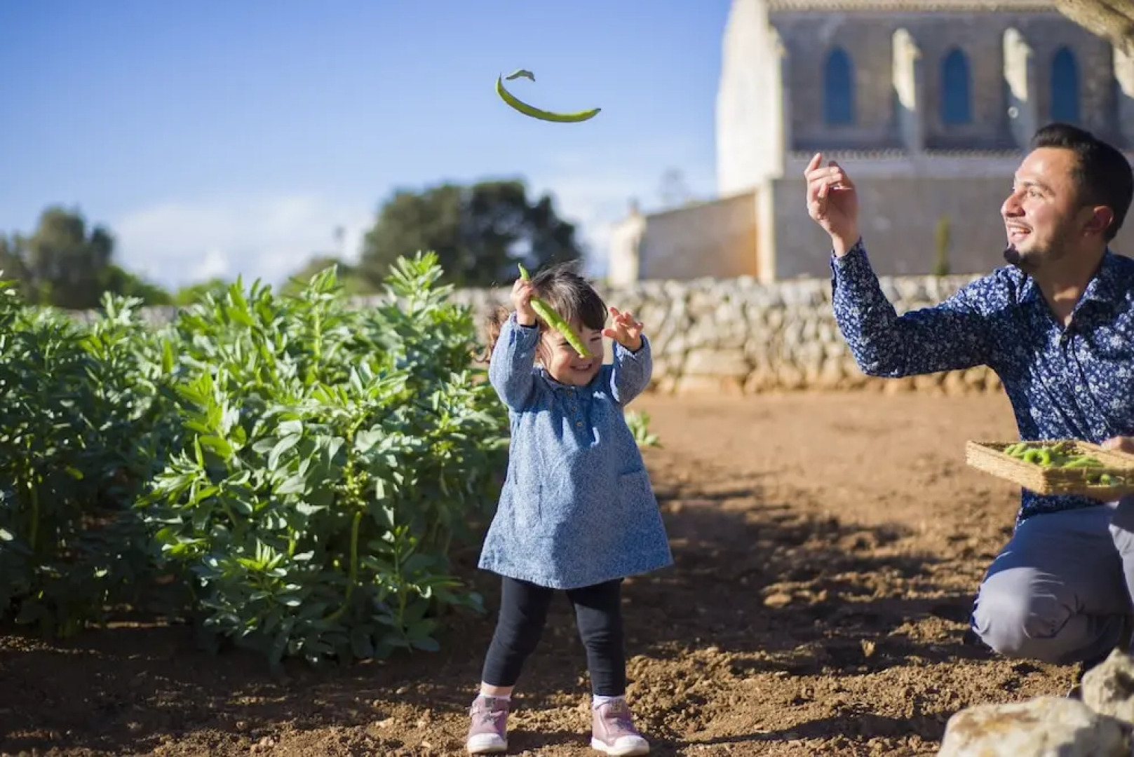 Agroturismo Llucmaçanes Gran