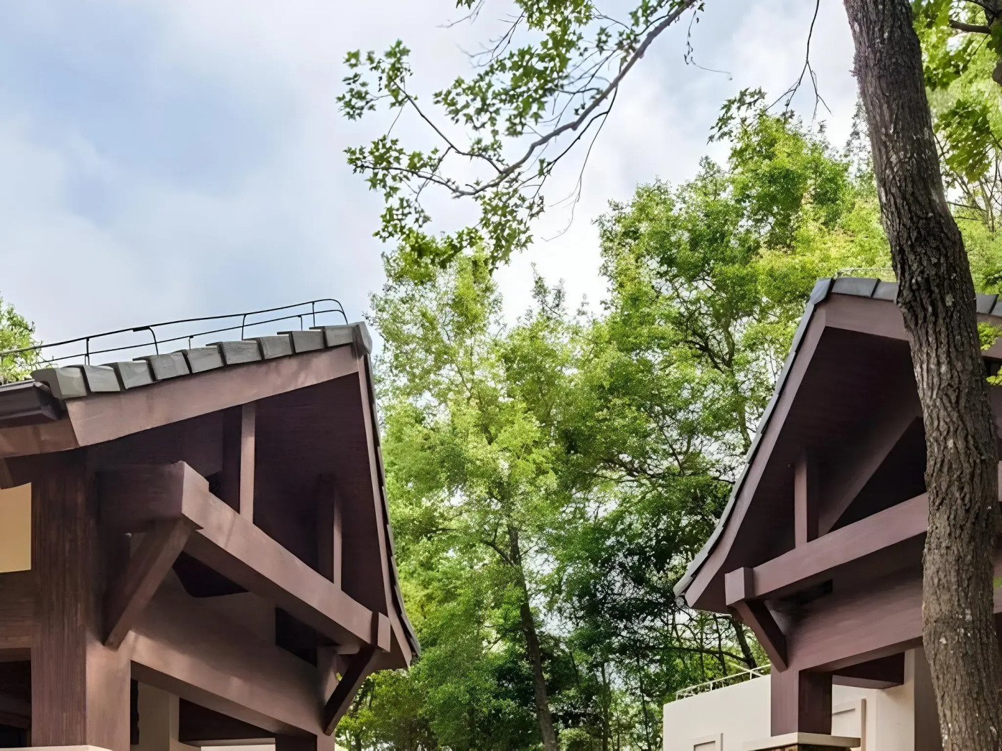 Wuzhishan Yatai Rainforest Resort Hotel