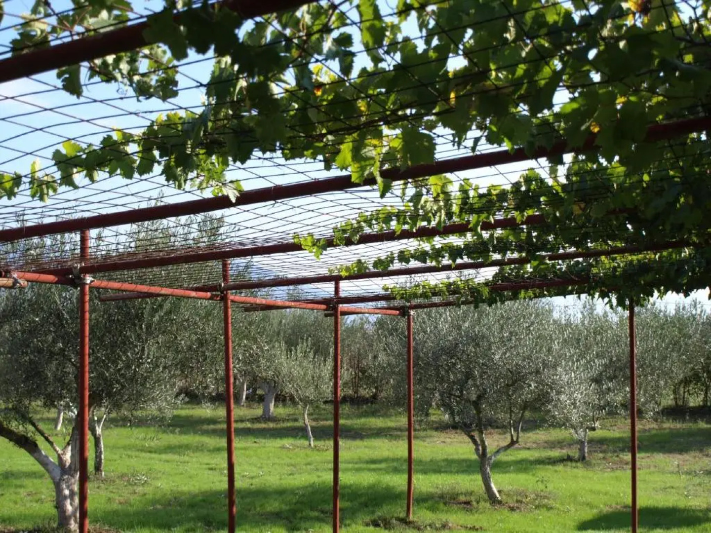 ΠΑΛΗΟΚΤΗΜΑ - Palioktima 2