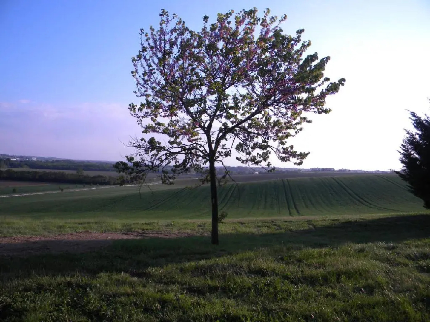 Chambres d'Hôtes Le Loubet
