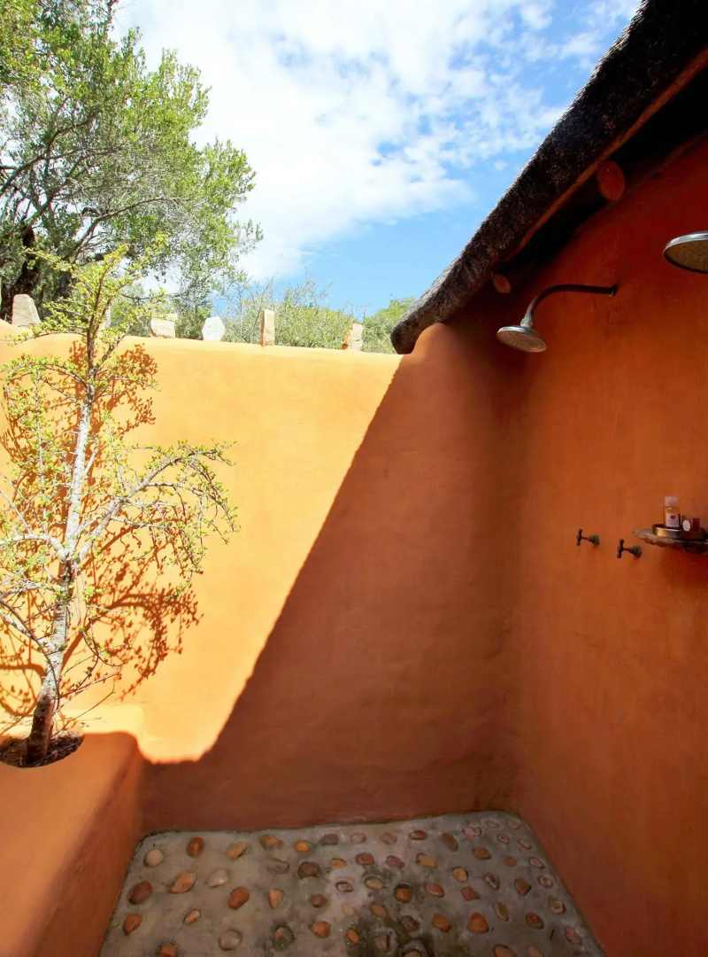 The Safari Lodge