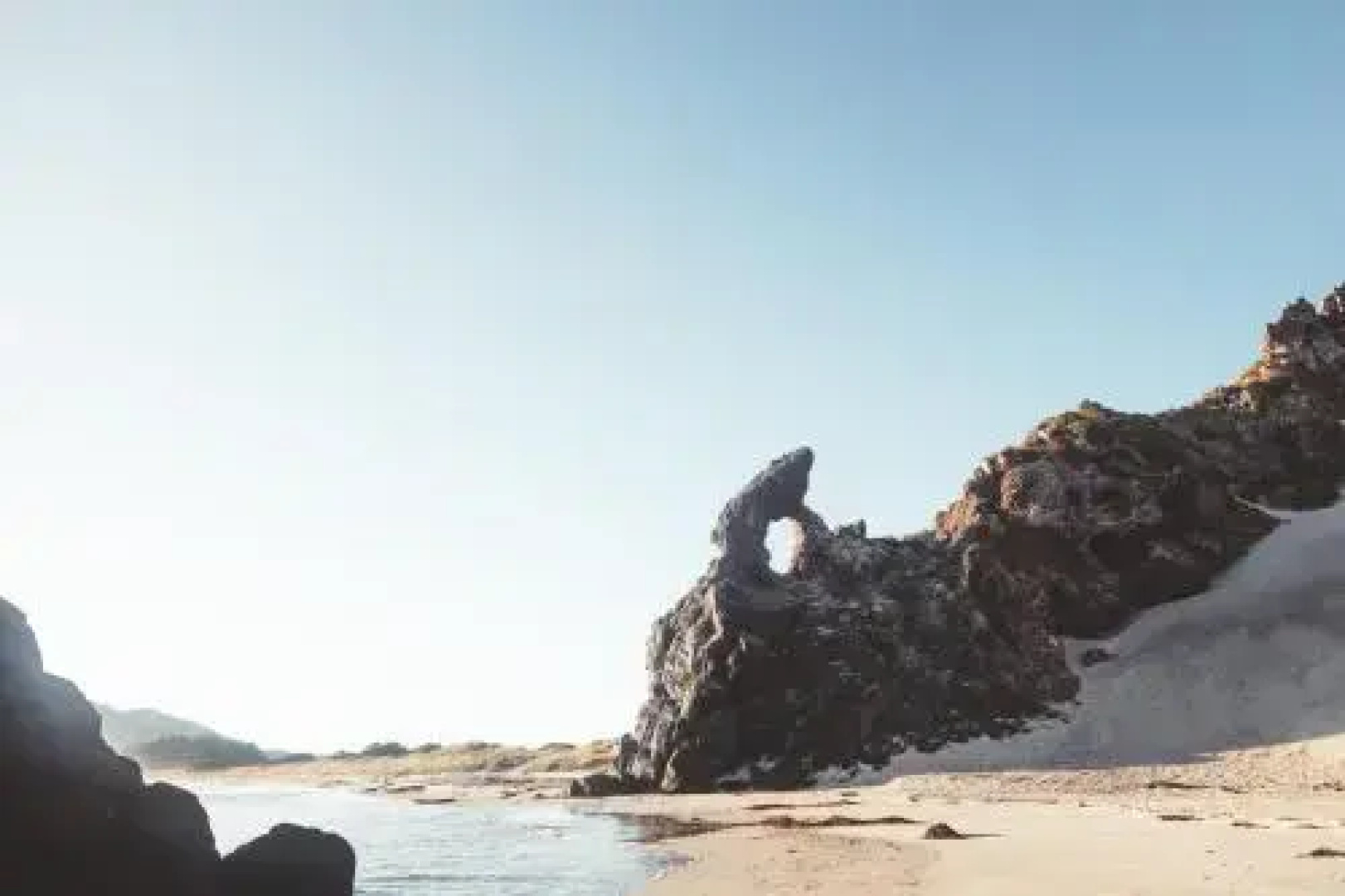 Ebb-Dunedin