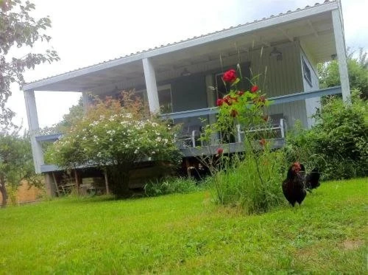 Gîte Les Deux Hêtres