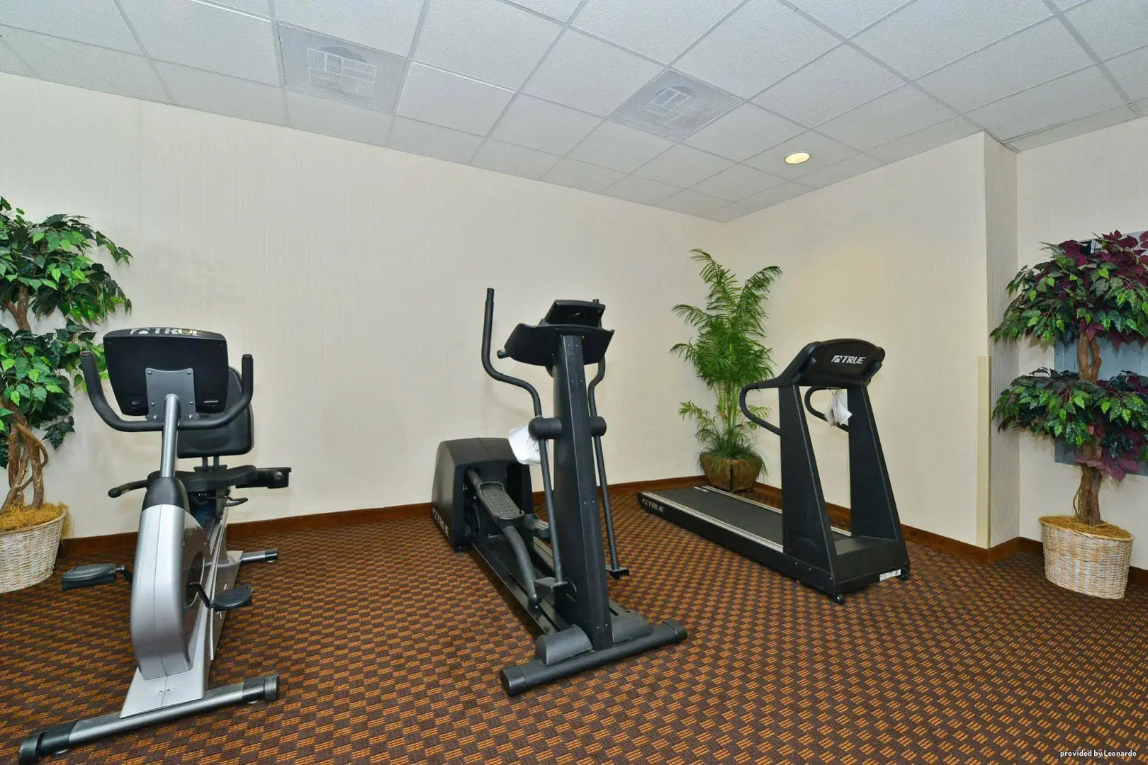 Best Western Ocean City Hotel & Suites