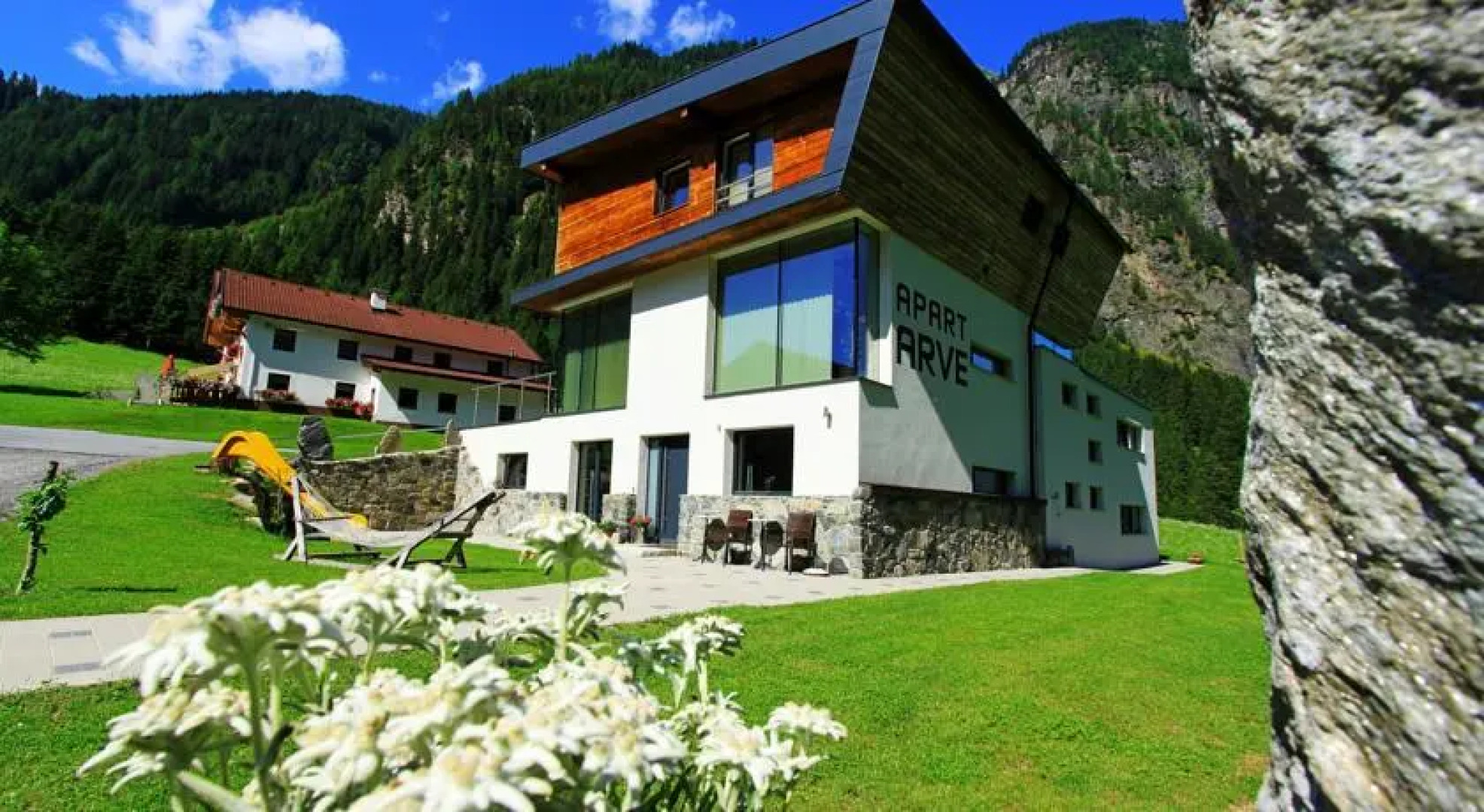 Apart Arve